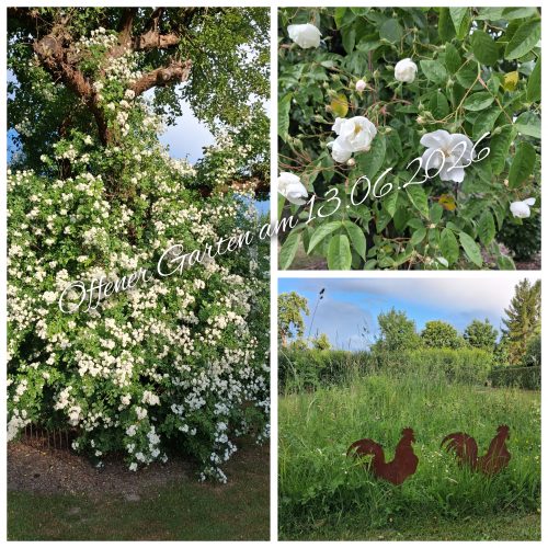 offner Garten in der Lausitz